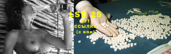 PSILOCYBIN Вязники
