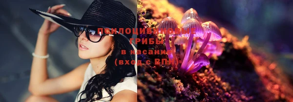 кокс Вяземский