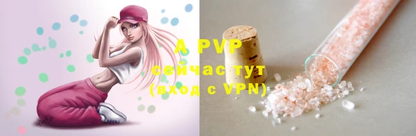 PSILOCYBIN Вязники