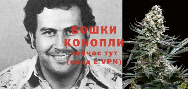 PSILOCYBIN Вязники